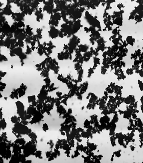 Electron micrograph of activated carbon particles